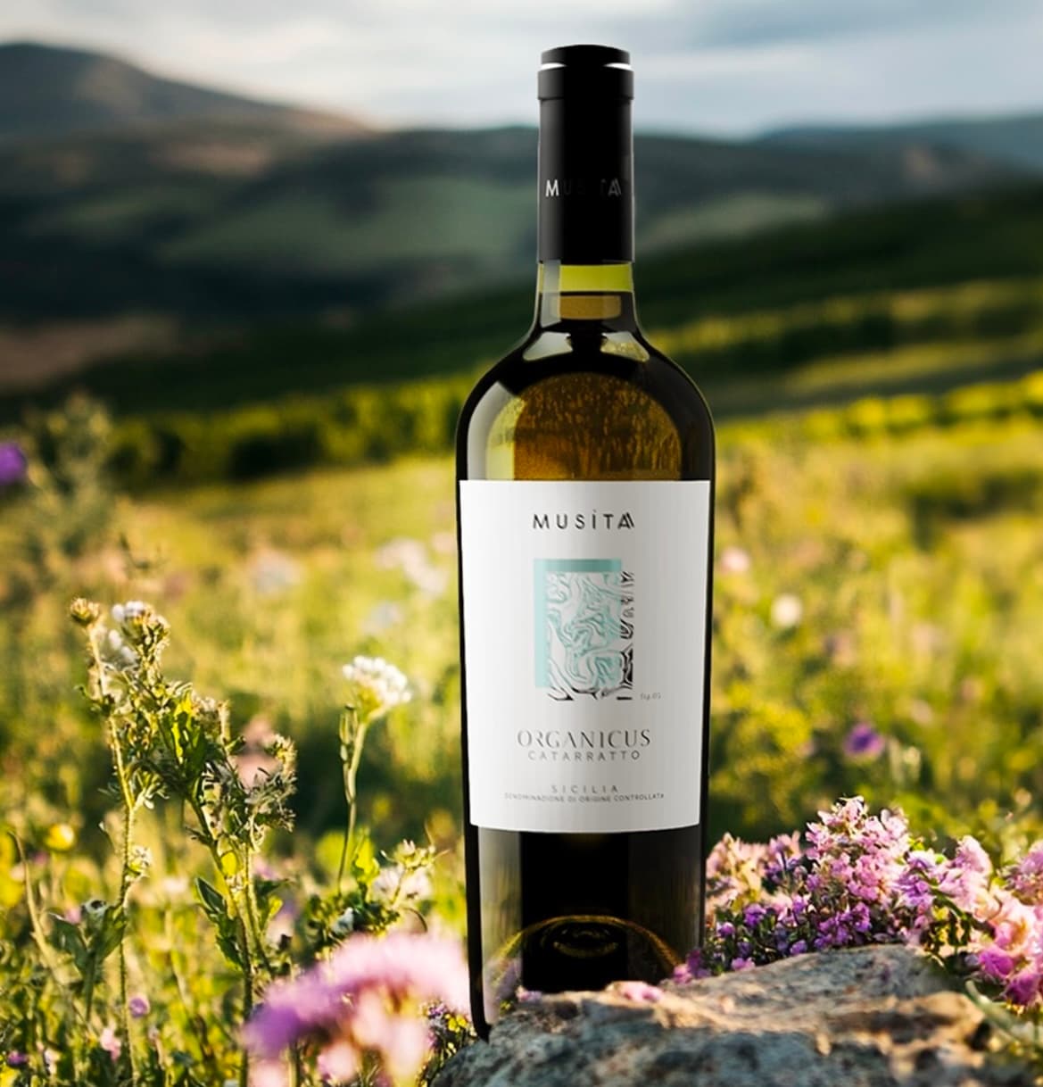 Carte des Vins